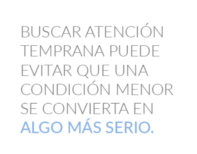CONSULTA